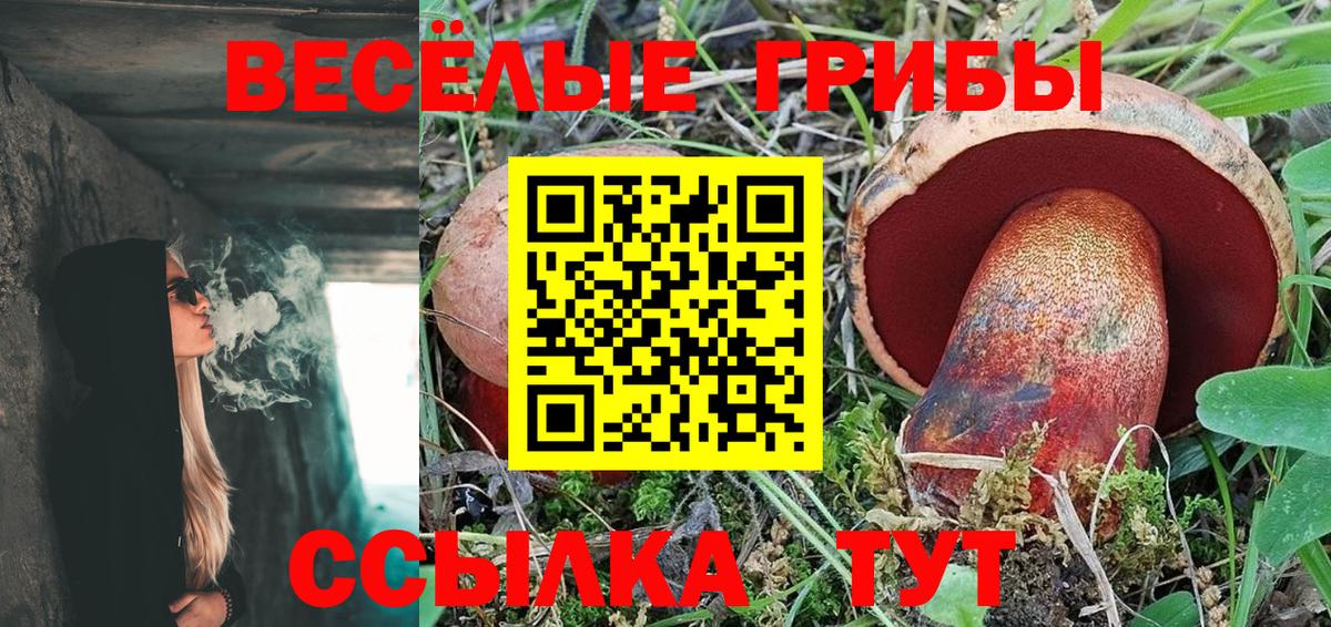 Псилоцибиновые грибы Psilocybine cubensis  Вход с VPN  Галлюциногенные грибы Psilocybine cubensis  Крымск 